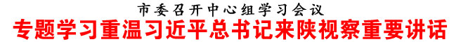 專題學(xué)習(xí)重溫習(xí)近平總書記來陜視察重要講話
