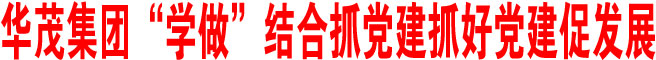 華茂集團“學做”結合抓黨建抓好黨建促發展