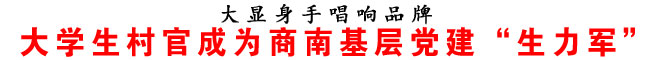 大學(xué)生村官成為商南基層黨建“生力軍”