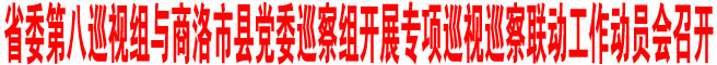 省委第八巡視組與商洛市縣黨委巡察組開展專項巡視巡察聯動工作動員會召開