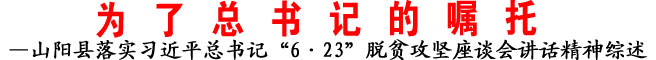 —山陽縣落實(shí)習(xí)近平總書記“6·23”脫貧攻堅(jiān)座談會(huì)講話精神綜述