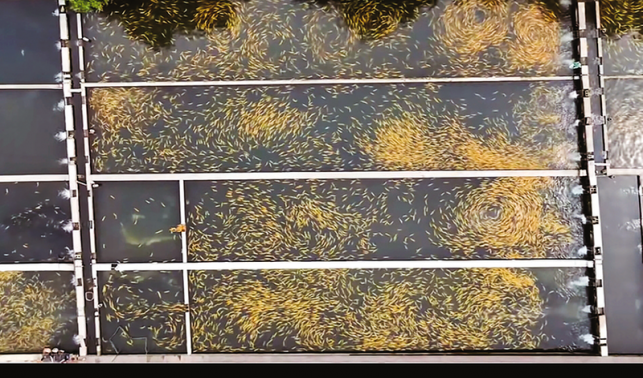 活水潤產(chǎn)業(yè) 農(nóng)旅促增收