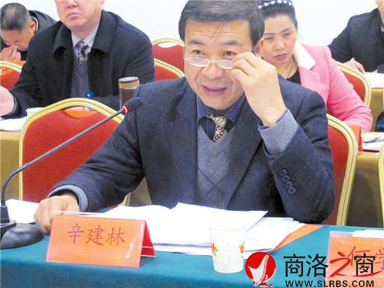 市人大代表辛建林參加丹鳳代表團審議《政府工作報告》時建議，把城市規劃放在更加重要的位置，做好棚戶區改造工作，加強對群眾建房的規劃和管理。      （見習記者 董 楠 攝）