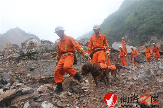 消防戰士帶著搜救犬尋找生命跡象