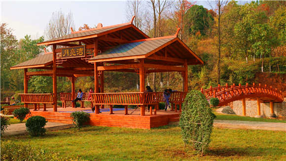 江山美麗鄉村示范村建設項目