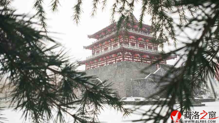 2015潔白漂亮的“雪姑娘”——傲立商州望江樓