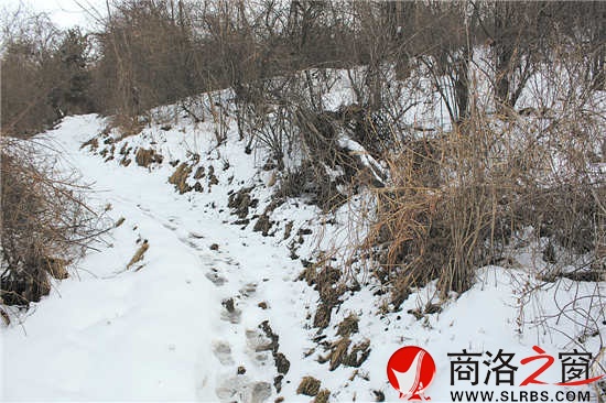 雪覆小徑路難行