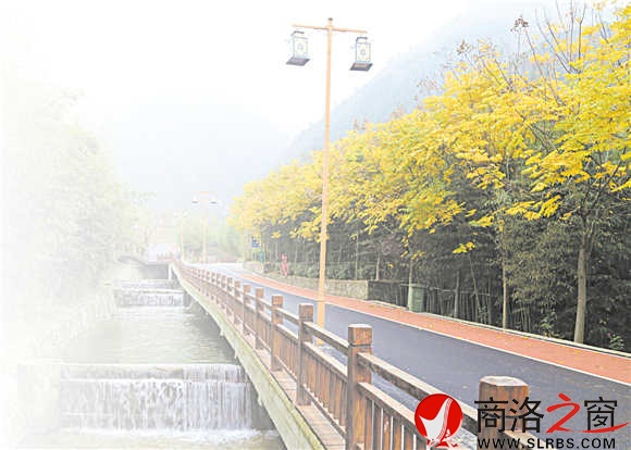 碧水、青竹、黃葉、觀景道，美麗鄉(xiāng)村竹林關(guān)的鄉(xiāng)間小道。