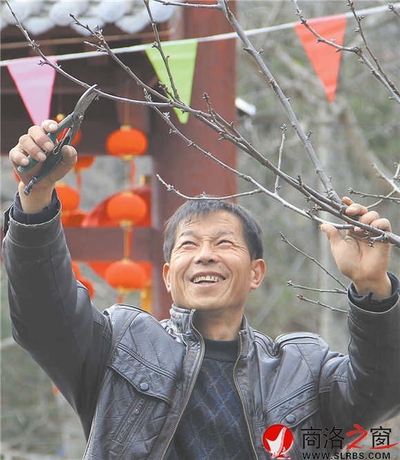 農(nóng)家樂(lè)經(jīng)營(yíng)者周江寶正在修剪院中的櫻桃樹(shù),計(jì)劃著將來(lái)讓來(lái)此吃飯的游客在自家院內(nèi)采摘。