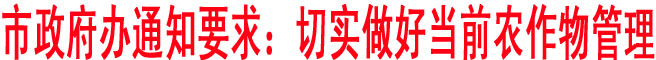 市政府辦下發緊急通知