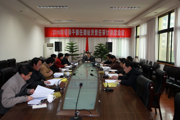 2010年領導干部任期經濟責任審計聯席會議在政府三樓召開.jpg
