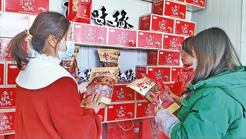 洛南“棗夾核桃”成俏銷(xiāo)年貨