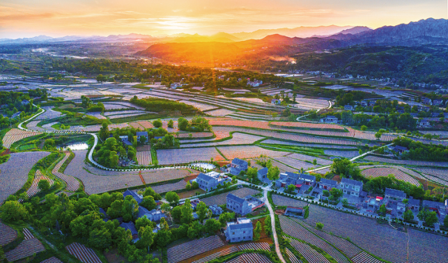 在洛惠渠滋養的這片土地上