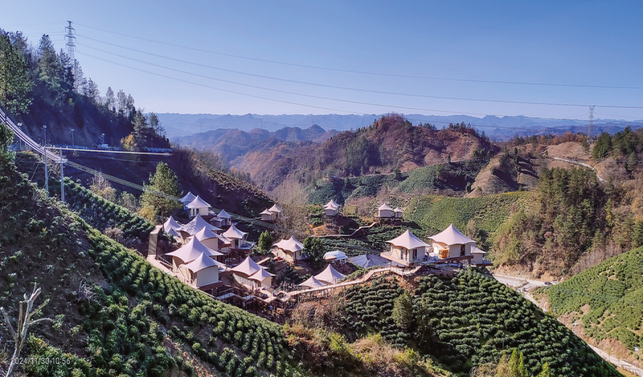 秦嶺茶鄉旅游度假區項目