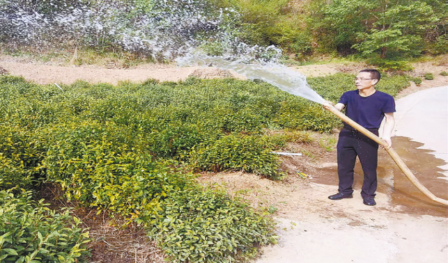 有他在，我們就有主心骨