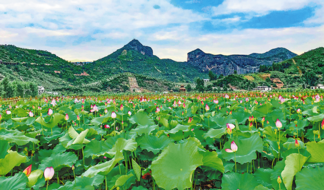 繪就和美鄉村新畫卷