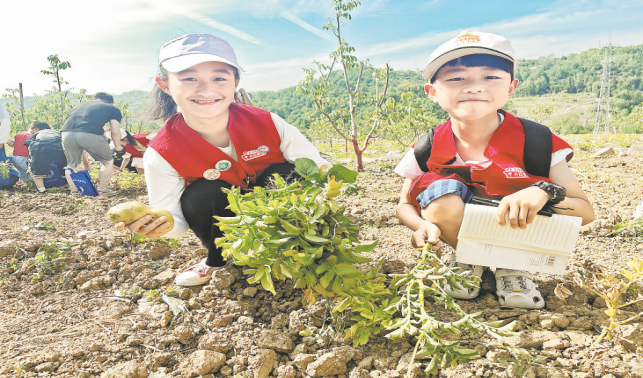黨報小記者走進(jìn)“商州核桃第一村”