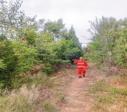 用赤子之心呵護綠意