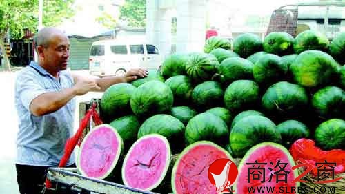 謝小榮把一車的西瓜整理好,準備開業。