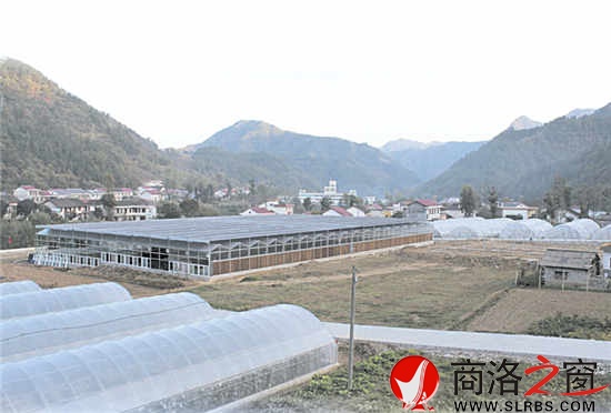 現(xiàn)代農(nóng)業(yè)園區(qū)，農(nóng)民抱團闖市場的基地。