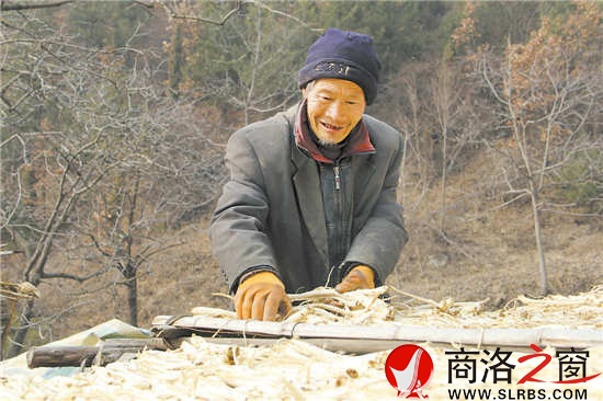 天氣暖和了，何長財一邊曬太陽，一邊收拾挖回來的藥材。