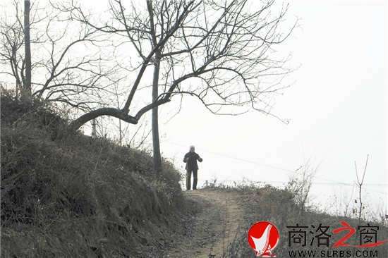 我們離開(kāi)時(shí),吳桂香送出很遠(yuǎn)。我們已經(jīng)走遠(yuǎn),山梁上那孤獨(dú)的身影久久不肯離去。