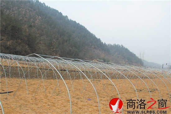 韓子坪食用菌產業打出了自己的品牌，越來越多的農戶愿意加入合作社。圖為正在擴建中的香菇基地，鋼筋骨架已經搭好。