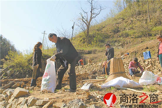 正是種豬苓的時候,田地里隨處可見種植的農戶。