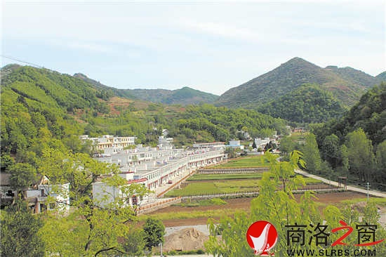 綠樹掩映的移民小區