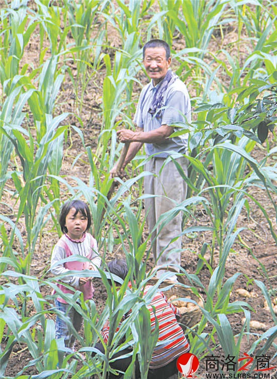 在石灰岔，最珍貴的還是土地。每到收獲季節(jié)，外出務(wù)工的村民總會(huì)匆匆趕回來收割莊稼。幾天之后，他們會(huì)再次踏上征程。