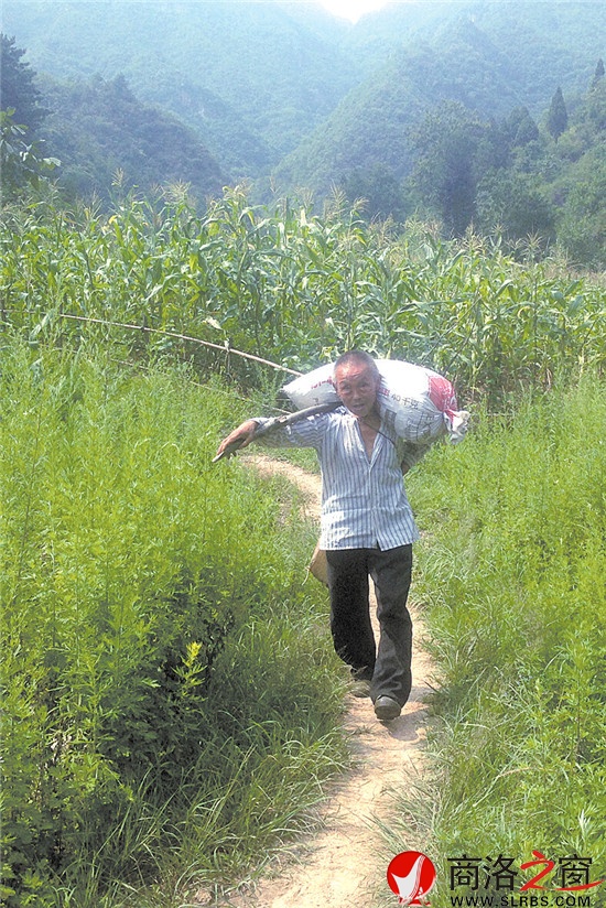 在山林里辛苦了一天，扛著沉甸甸的山貨，臉上的喜悅心情溢于言表。