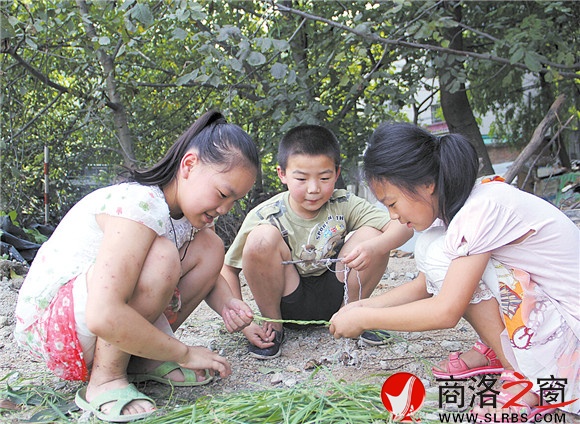 黃沙嶺腳下,胡昊和小伙伴們正在給一只小鳥用草編籠子。