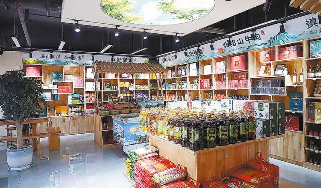 傾情幫扶結碩果 小城鎮安展新顏